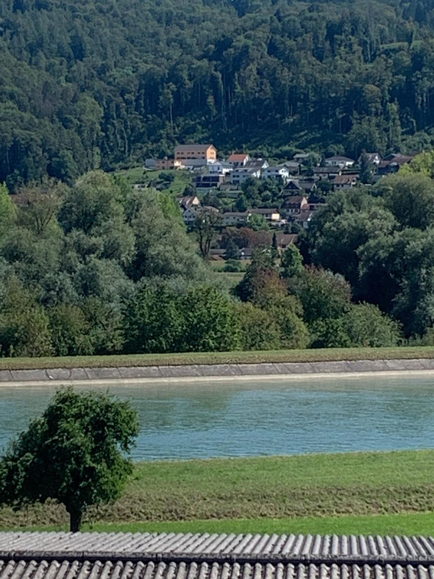Hochrhein Ferienwohnung Albbruck المظهر الخارجي الصورة