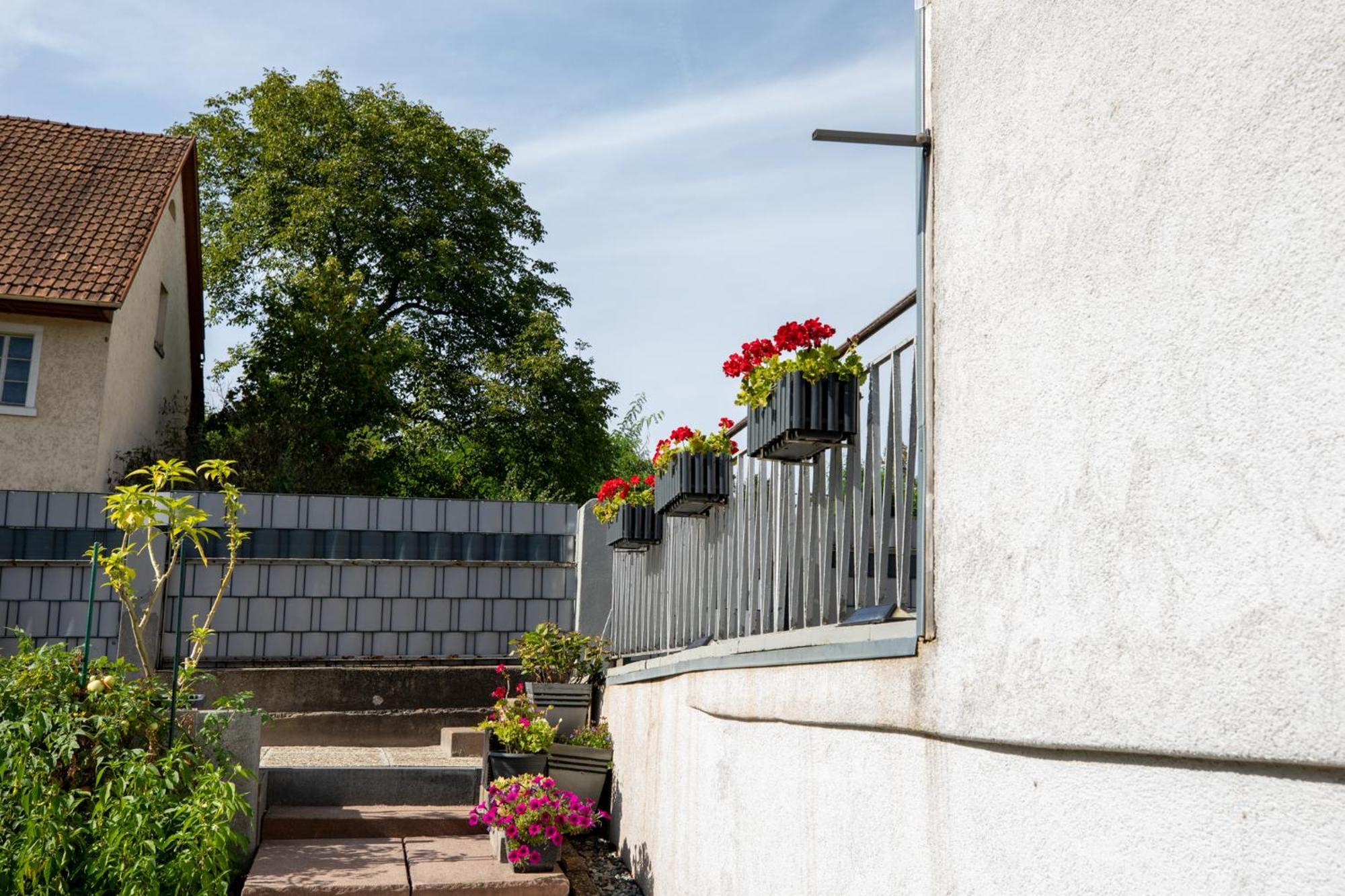 Hochrhein Ferienwohnung Albbruck المظهر الخارجي الصورة