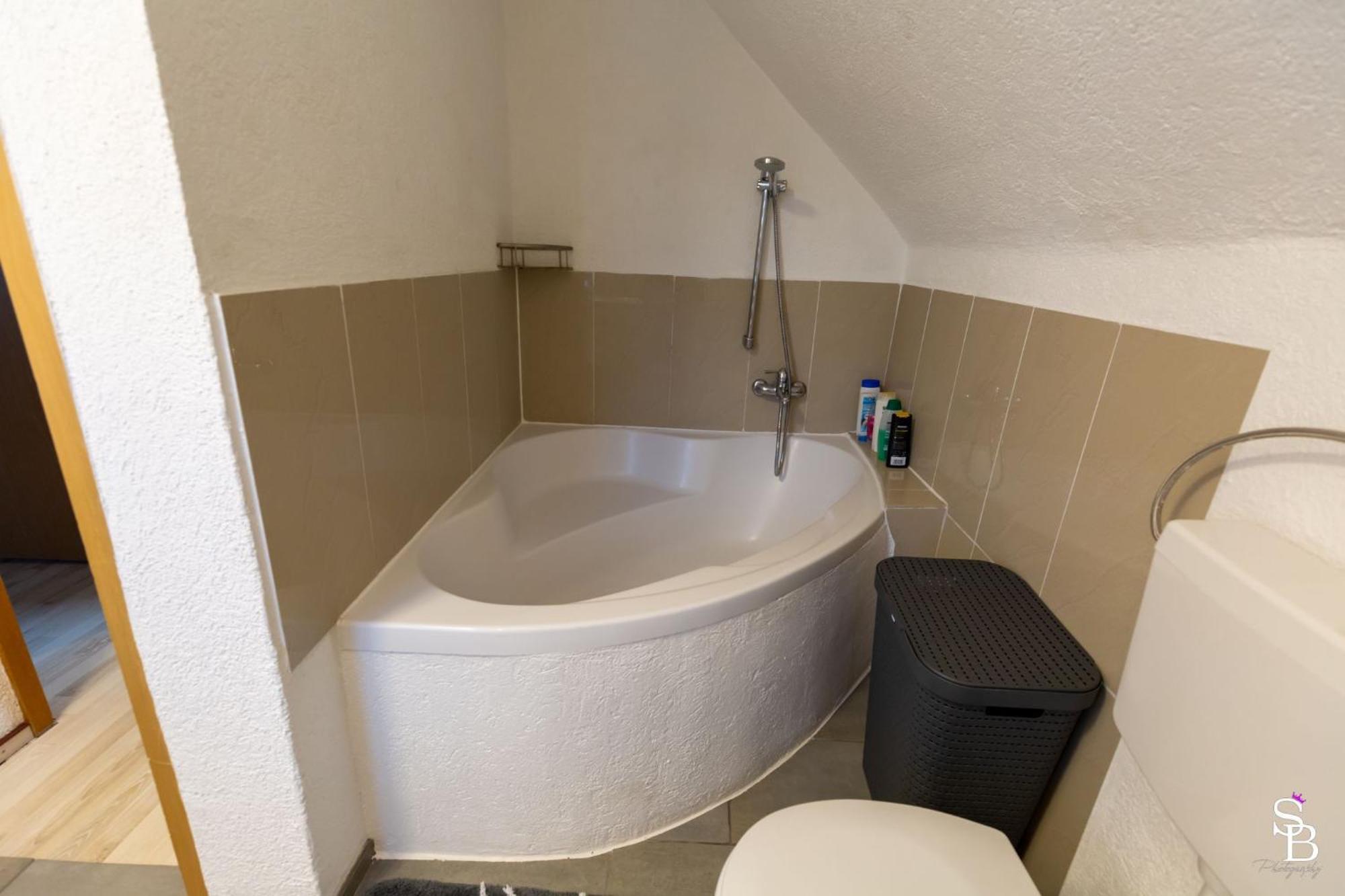 Hochrhein Ferienwohnung Albbruck المظهر الخارجي الصورة