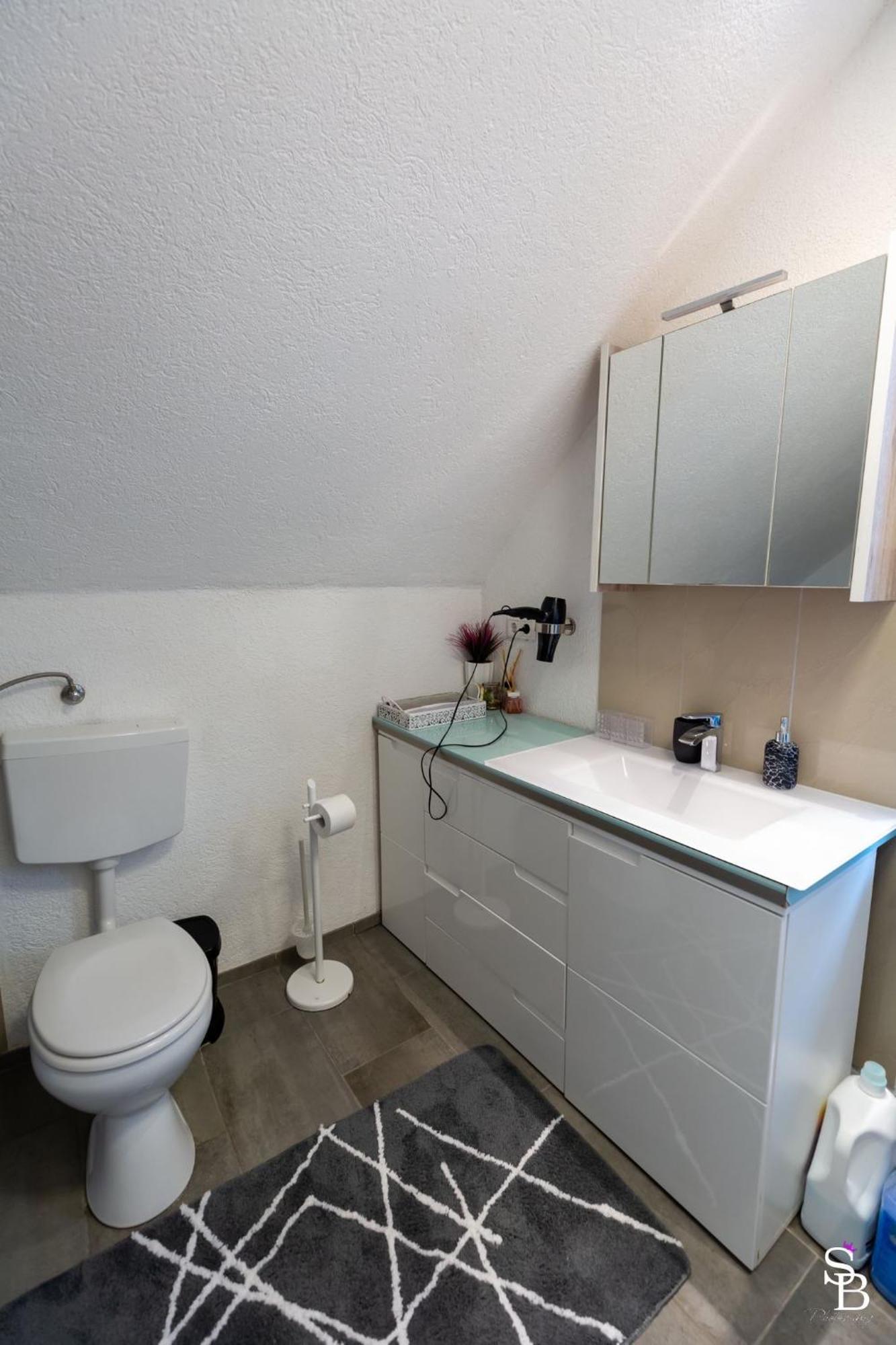 Hochrhein Ferienwohnung Albbruck المظهر الخارجي الصورة